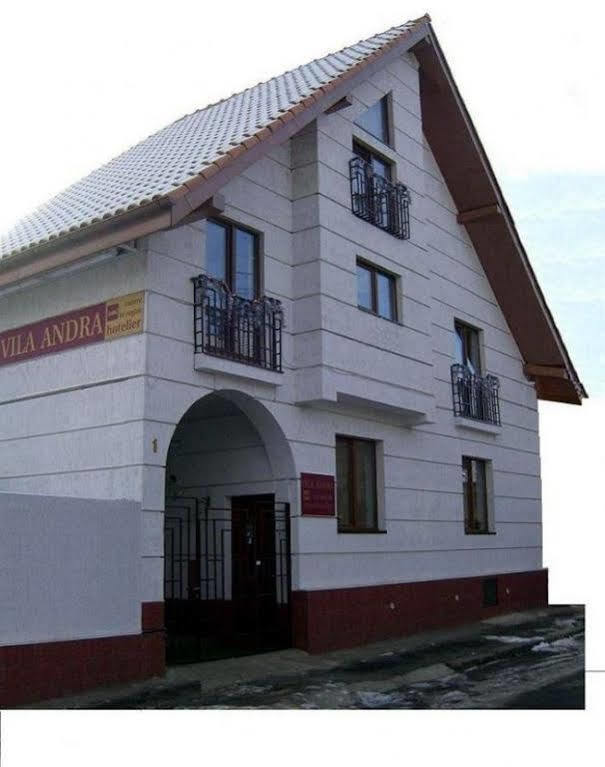 Pension Vila Andra Sybin Zewnętrze zdjęcie